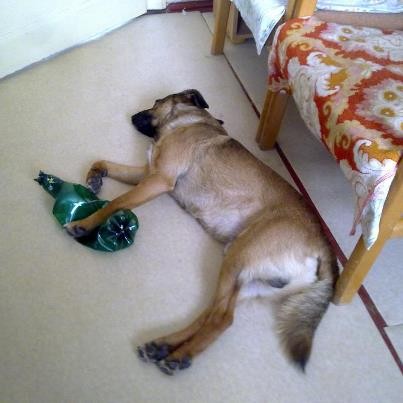 ery alkoholik