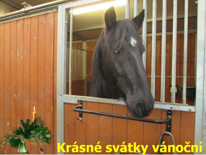 Van.prani_kun